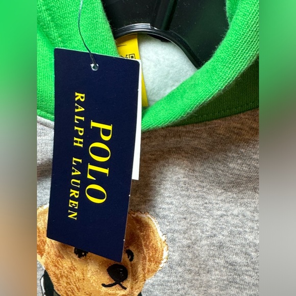 NWT Polo Ralph Lauren Boys Polo Bear Color Blocked Fleece Hoodie - Picture 11 of 13